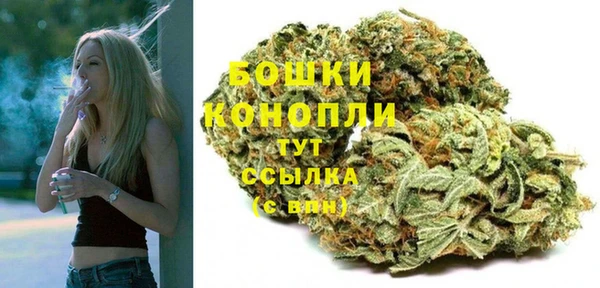 дживик Белоозёрский